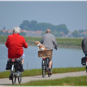 Getting Older People Active and the Benefits it Brings